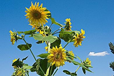 生软料到《龙腾世纪4》有差评 但没想到如此糟糕